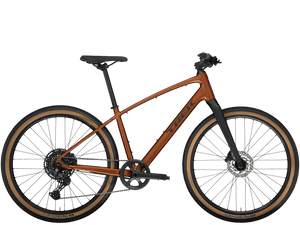 Dual Sport 3