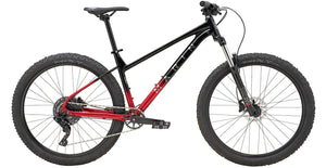 Wildcat Trail 3