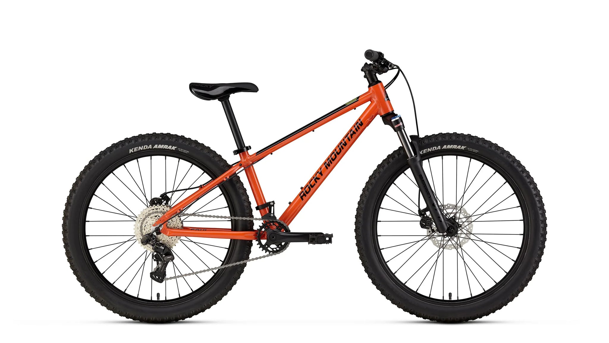 Soul Jr 24 Age 8 CANARY CYCLES