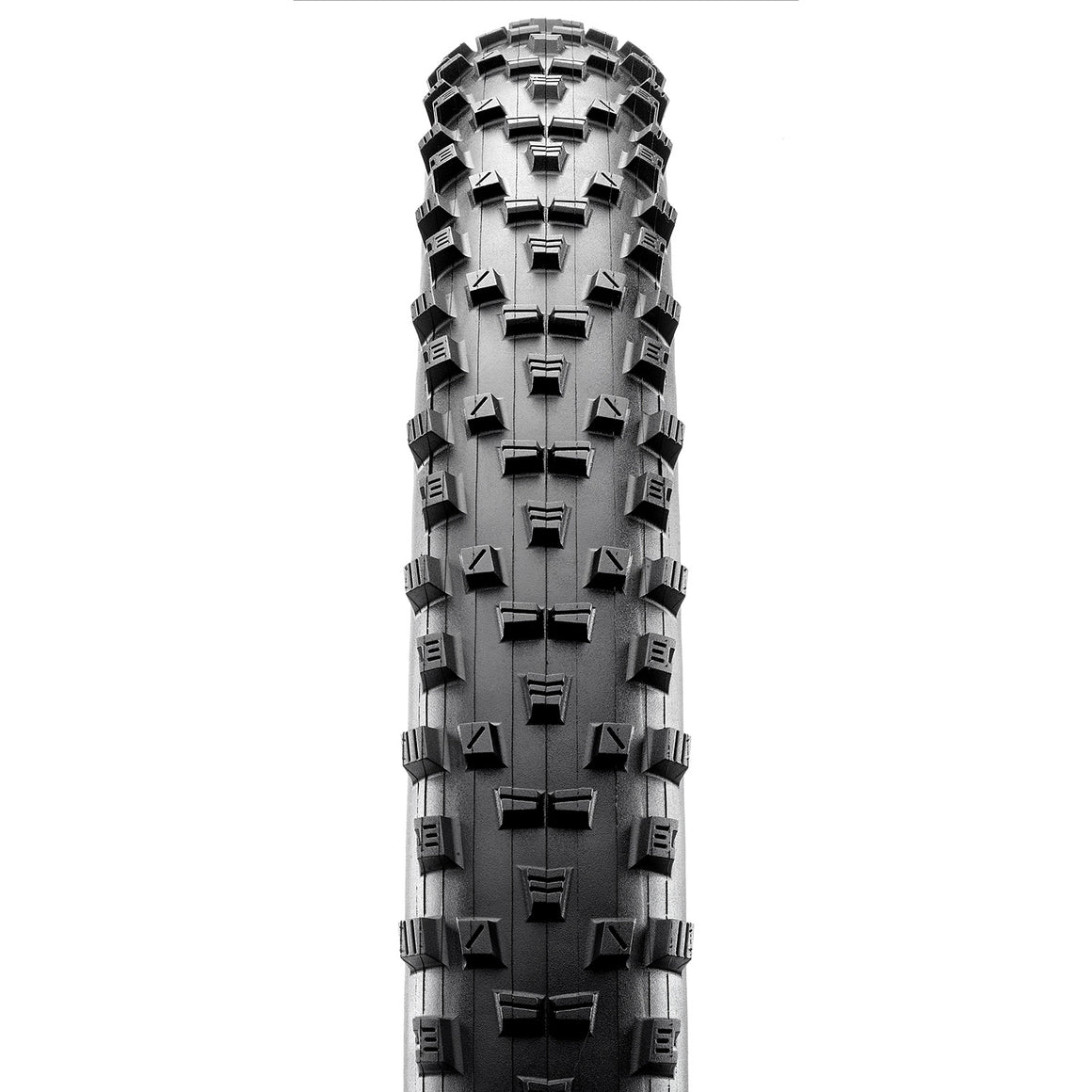 Maxxis Forecaster